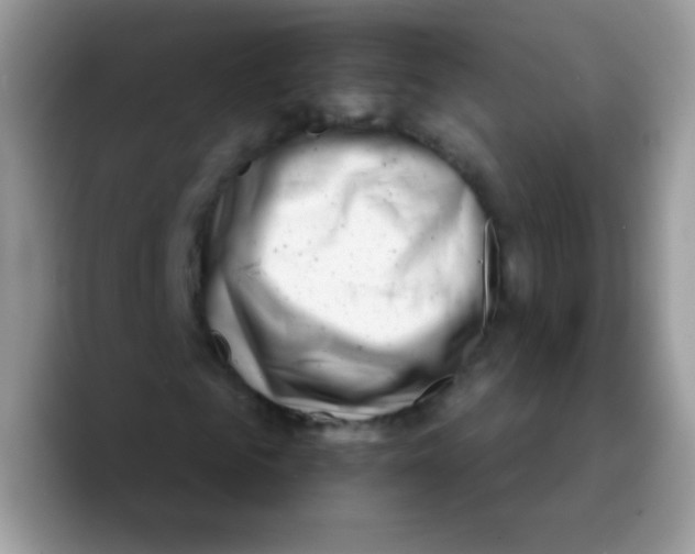 X0000089760961200707201939
