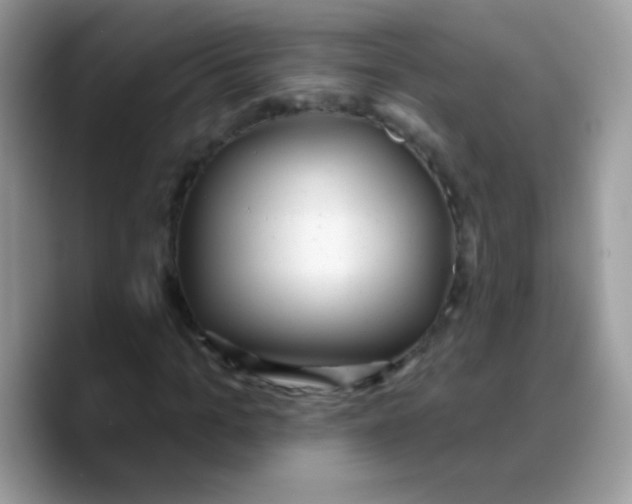 X0000089760965200707201939