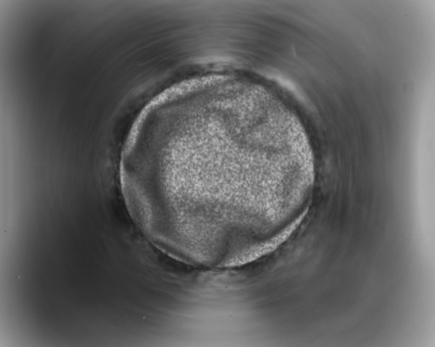 X0000089760967200707201939