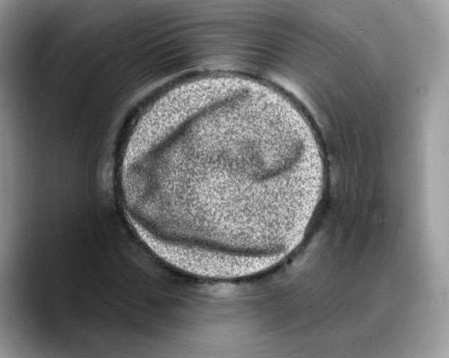 X0000089760971200707201939