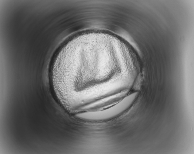 X0000089760972200707201939