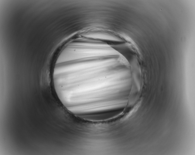X0000089760973200707201939
