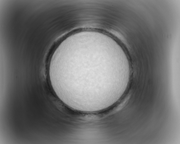 X0000089760974200707201939