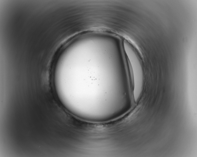 X0000089760975200707201939