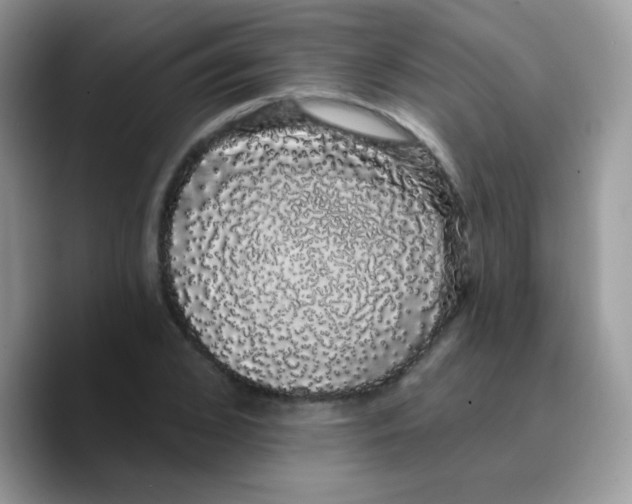 X0000089760976200707201939