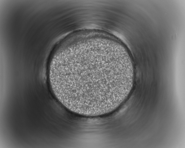 X0000089760979200707201939