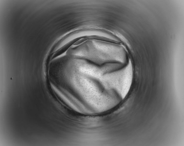 X0000089760981200707201939