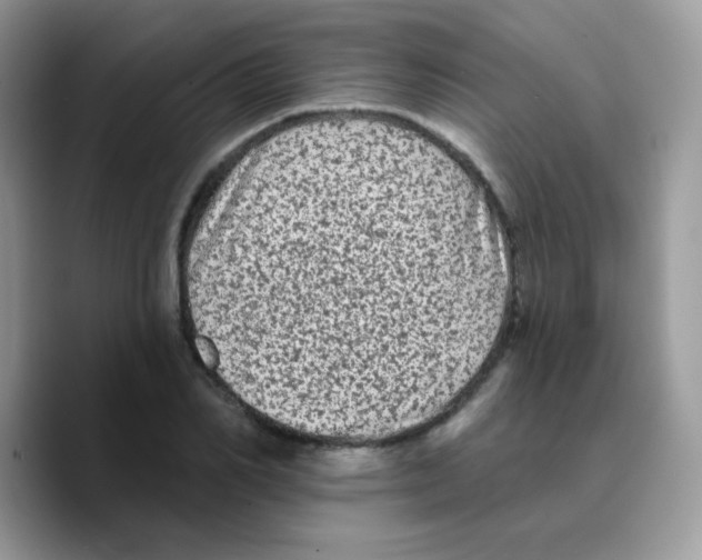 X0000089760982200707201939