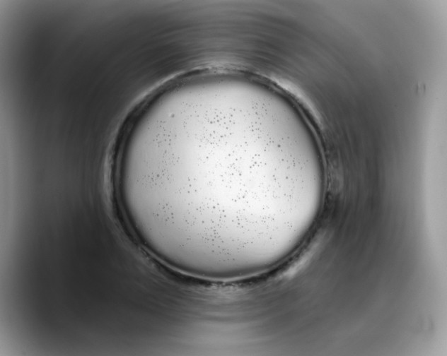 X0000089760983200707201939