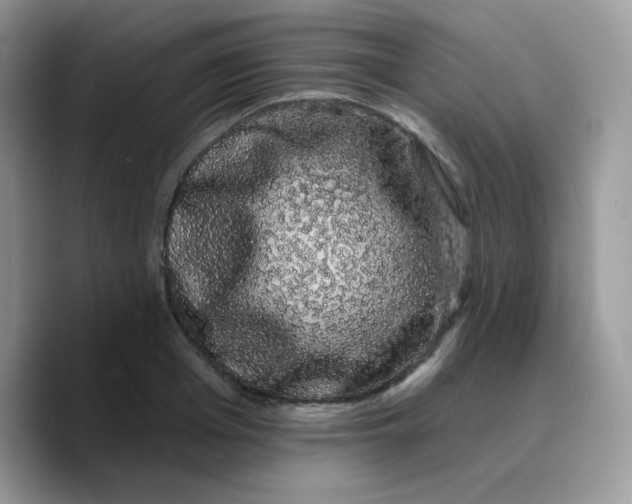 X0000089760985200707201939