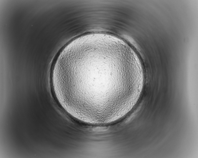 X0000089760986200707201939