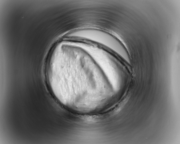X0000089760987200707201939