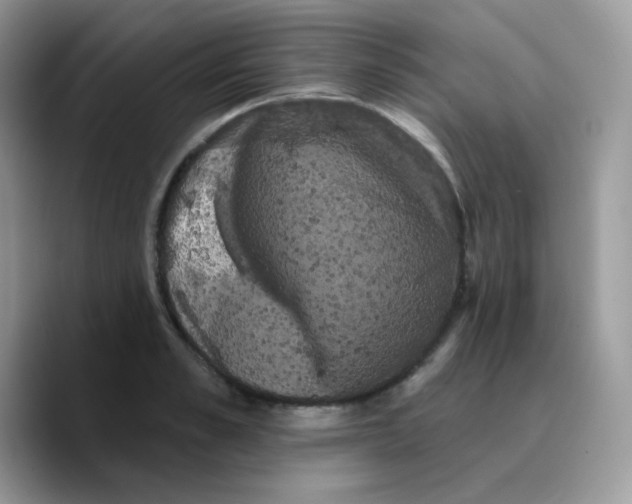 X0000089760989200707201939