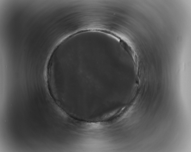 X0000089760990200707201939