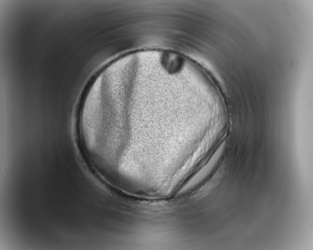X0000089760991200707201939