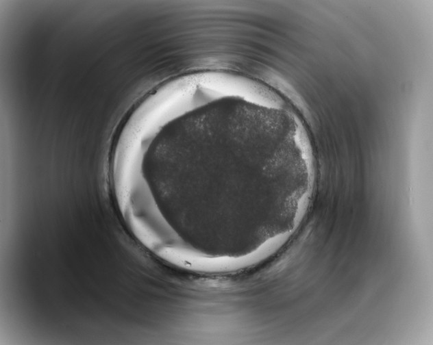 X0000089760994200707201939
