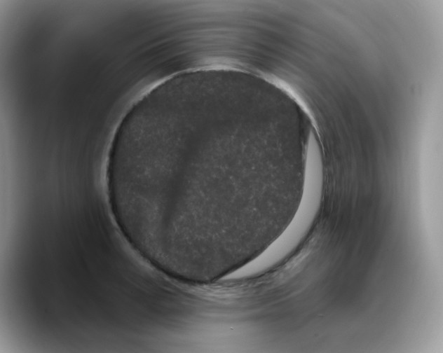 X0000089760995200707201939