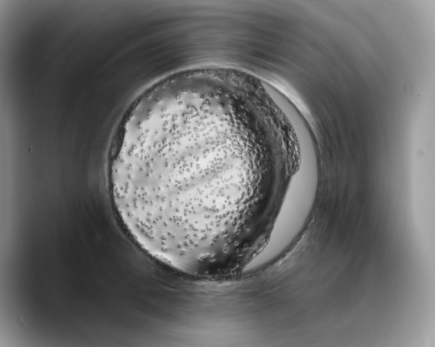 X0000089760996200707201939