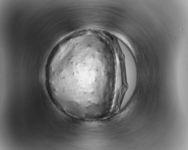 X0000089760999200707201938