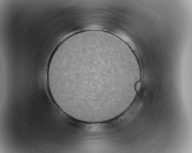 X0000089761000200707201938