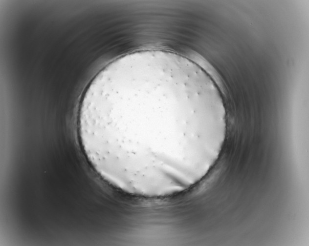 X0000089761002200707201938