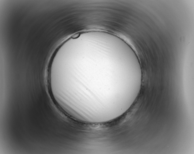 X0000089761003200707201938
