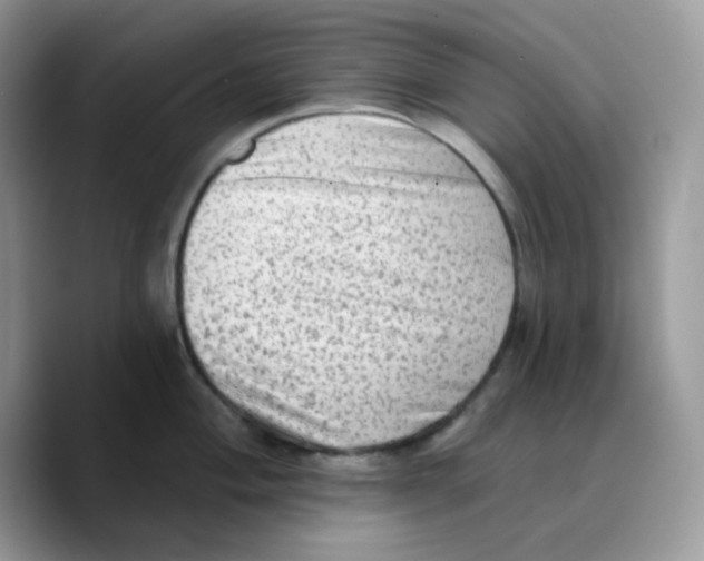 X0000089761004200707201938