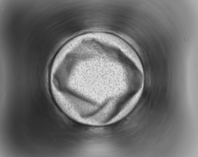 X0000089761006200707201938