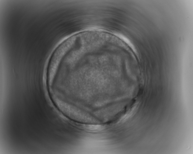 X0000089761007200707201938