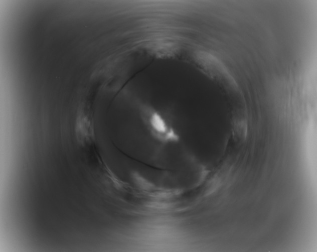 X0000089761010200707201938
