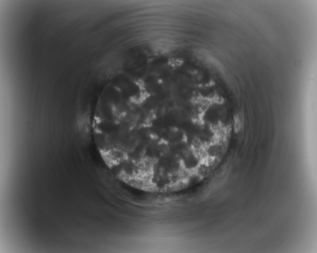 X0000089761011200707201938