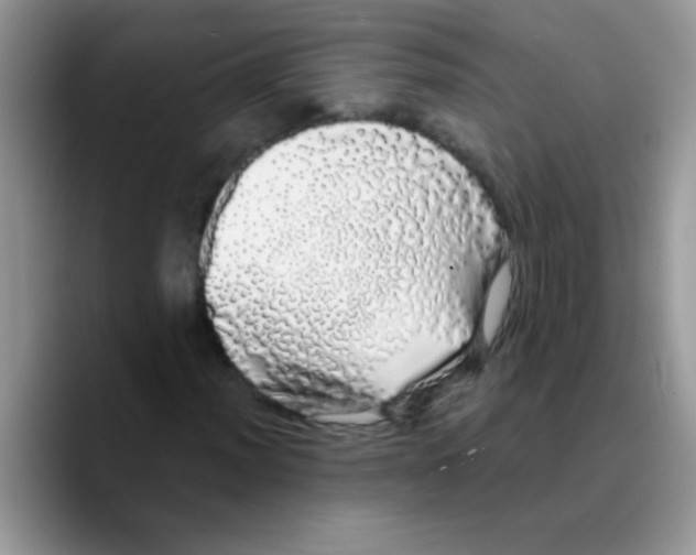 X0000089761012200707201938