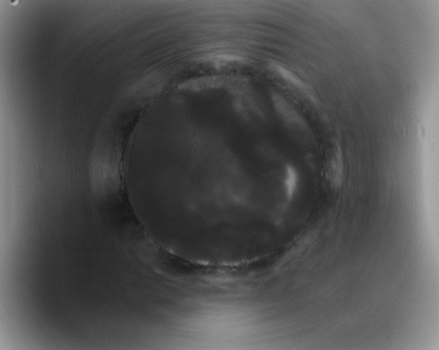 X0000089761014200707201938