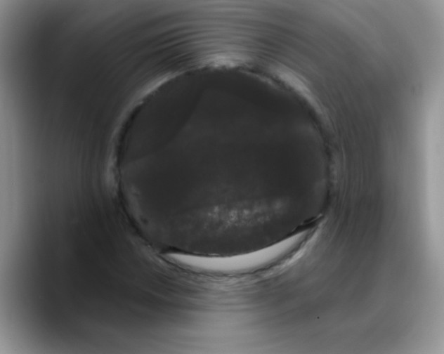 X0000089761018200707201938