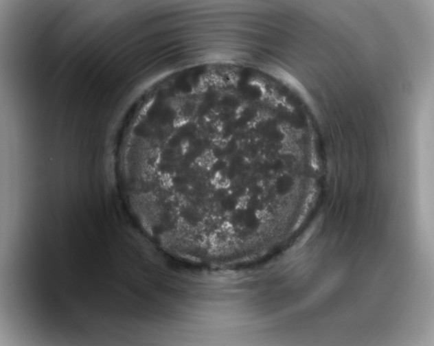 X0000089761019200707201938
