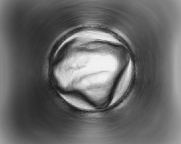 X0000089761021200707201938