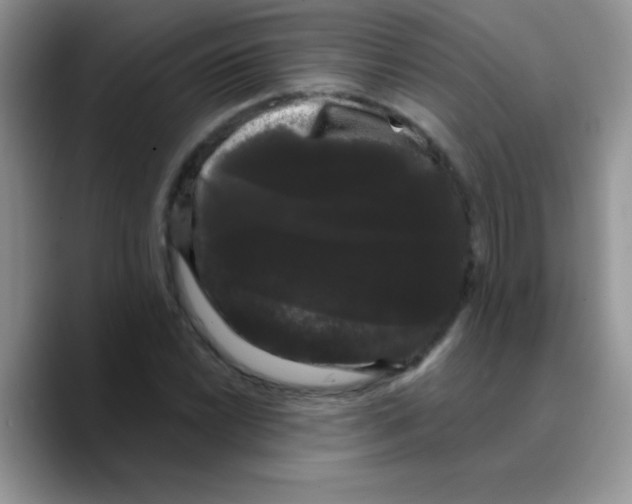 X0000089761022200707201938