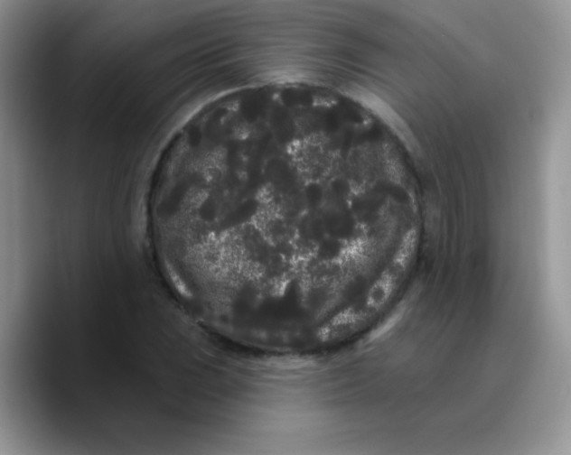 X0000089761023200707201938