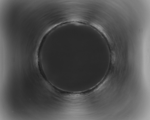 X0000089761024200707201938