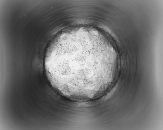 X0000089761025200707201938