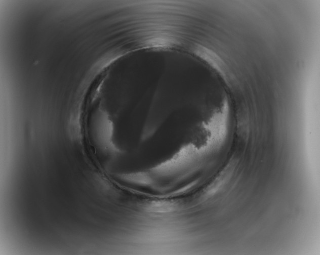 X0000089761026200707201938