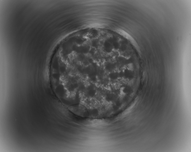 X0000089761027200707201938