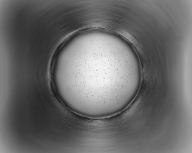 X0000089761028200707201938
