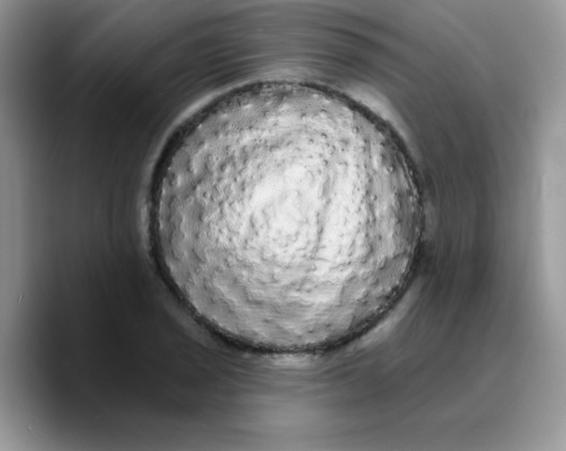 X0000089761029200707201938