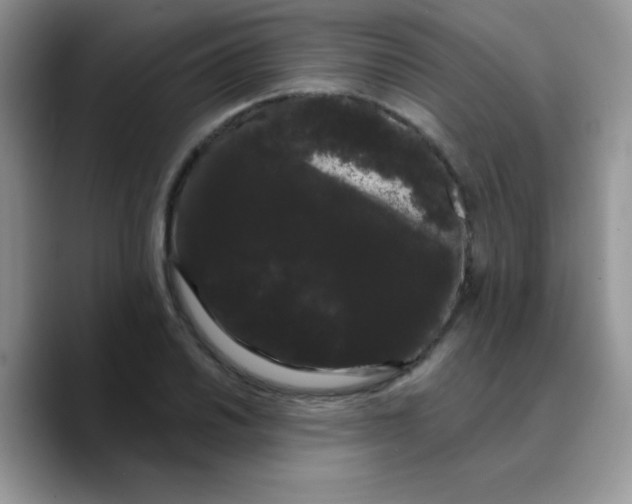 X0000089761030200707201938