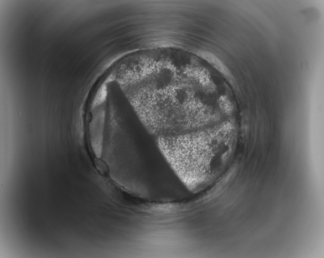X0000089761031200707201938