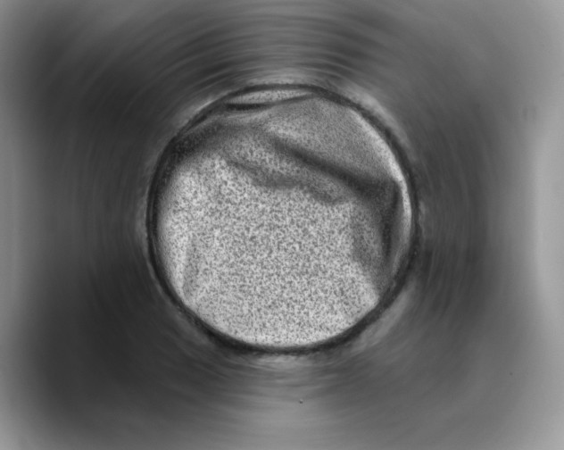 X0000089761033200707201938