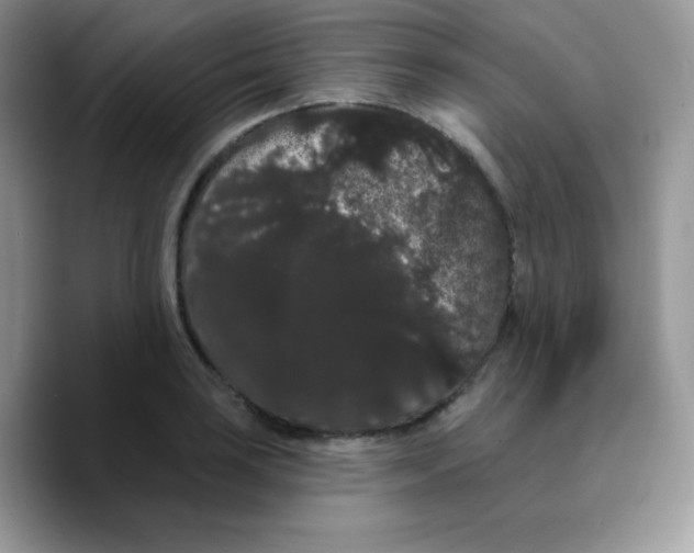 X0000089761035200707201938