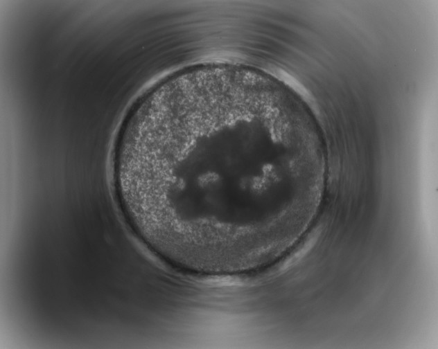 X0000089761037200707201938