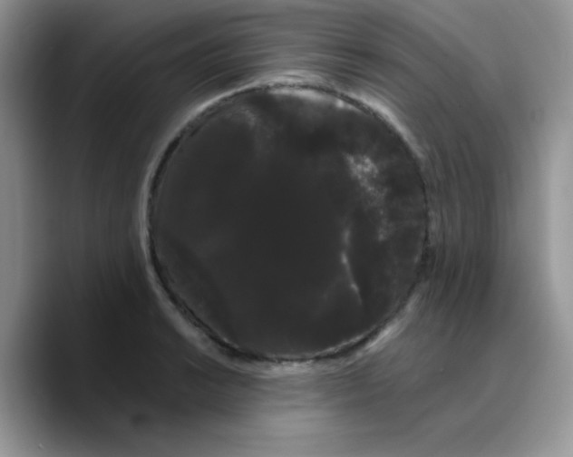 X0000089761038200707201938